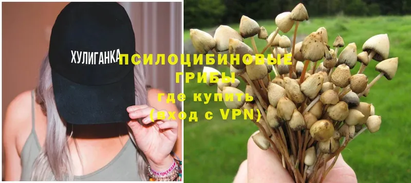 Галлюциногенные грибы Magic Shrooms  Камышлов 